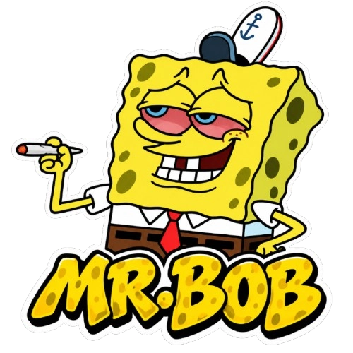 MR.Bob